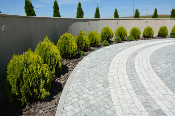 Best Decorative Driveway Pavers  in Miami Springs, FL